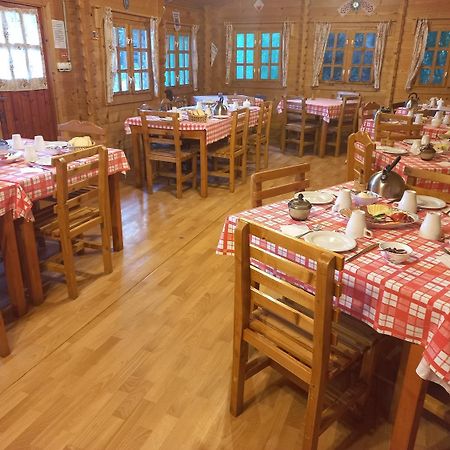 Casa Edelweiss - Gyopar - Flore De Colt Rimetea Exterior foto