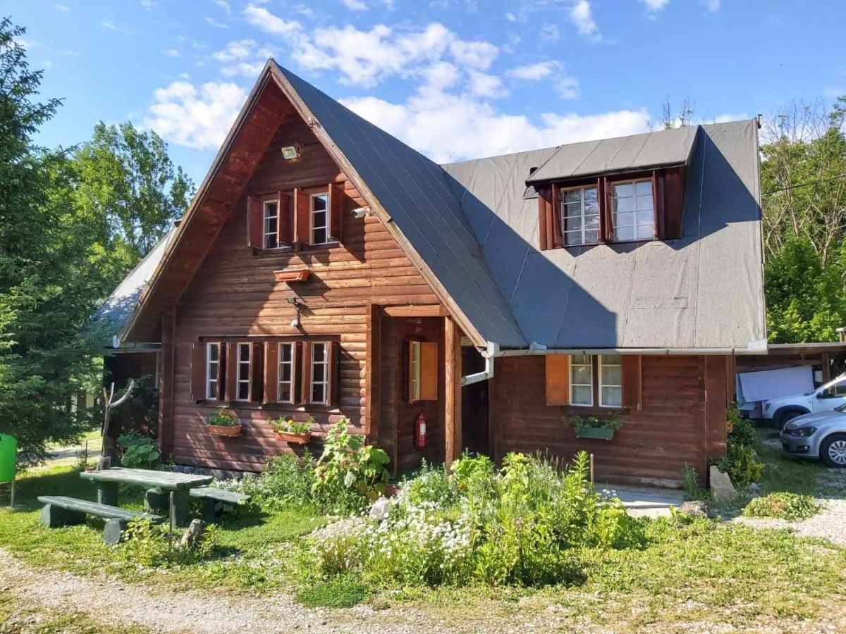 Casa Edelweiss - Gyopar - Flore De Colt Rimetea Exterior foto